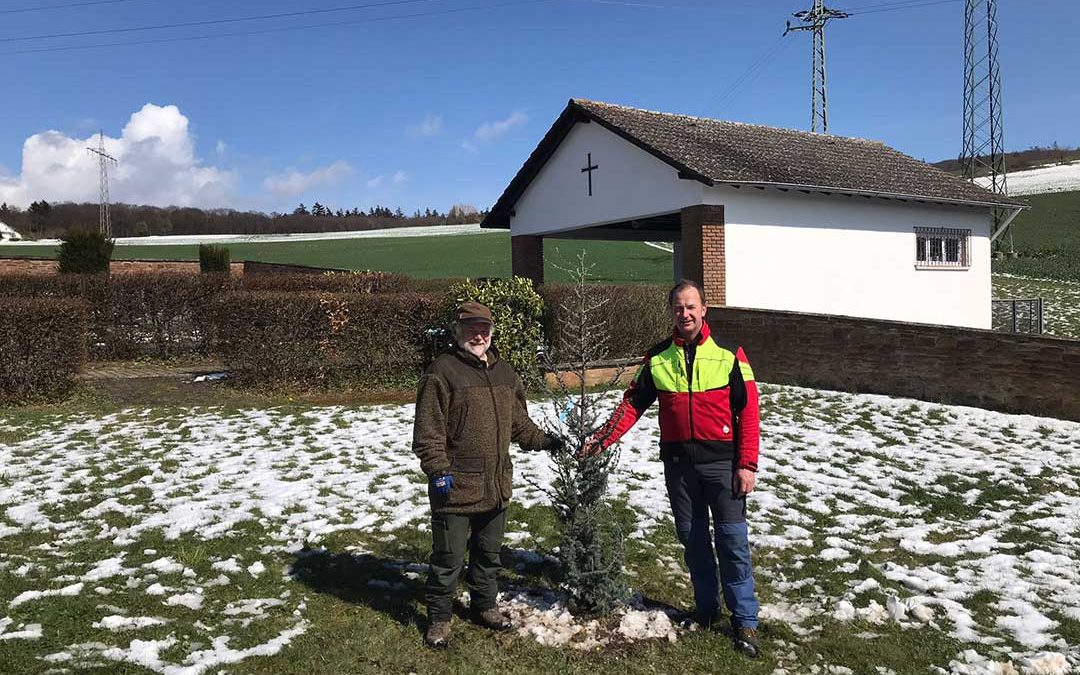 Neue Bäume auf dem Friedhof gepflanzt. Im Bild sind Ortsbürgermeister Hans Wieland und Gerd Schappert.